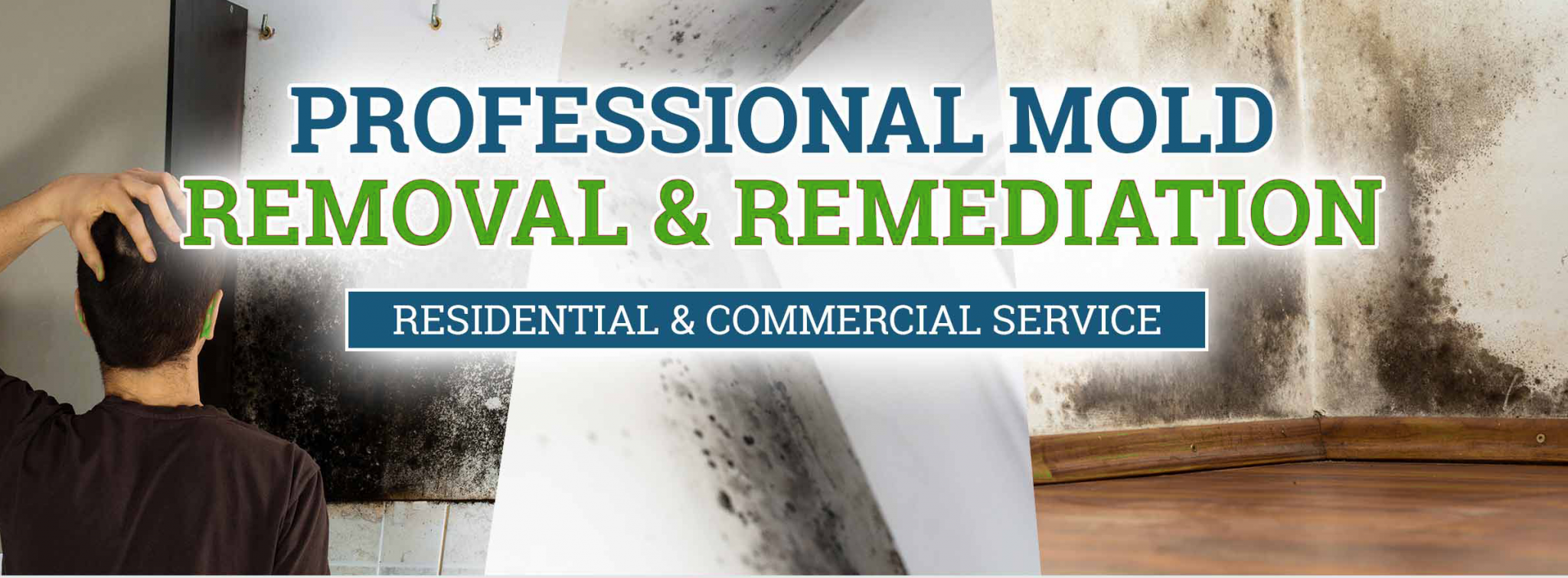 mold-removal-and-remediation-green-e1618327821622-2048x755